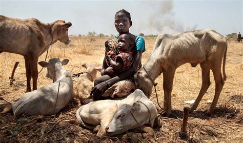 What Are The Causes Of Malnutrition In Farm Animals